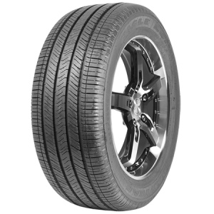 shina-goodyear-eagle-ls2-run-flat-r19-25550-107h-x